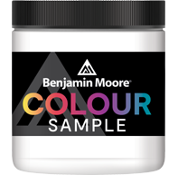 Bespoke Decor NI Benjamin Moore sample pot paint